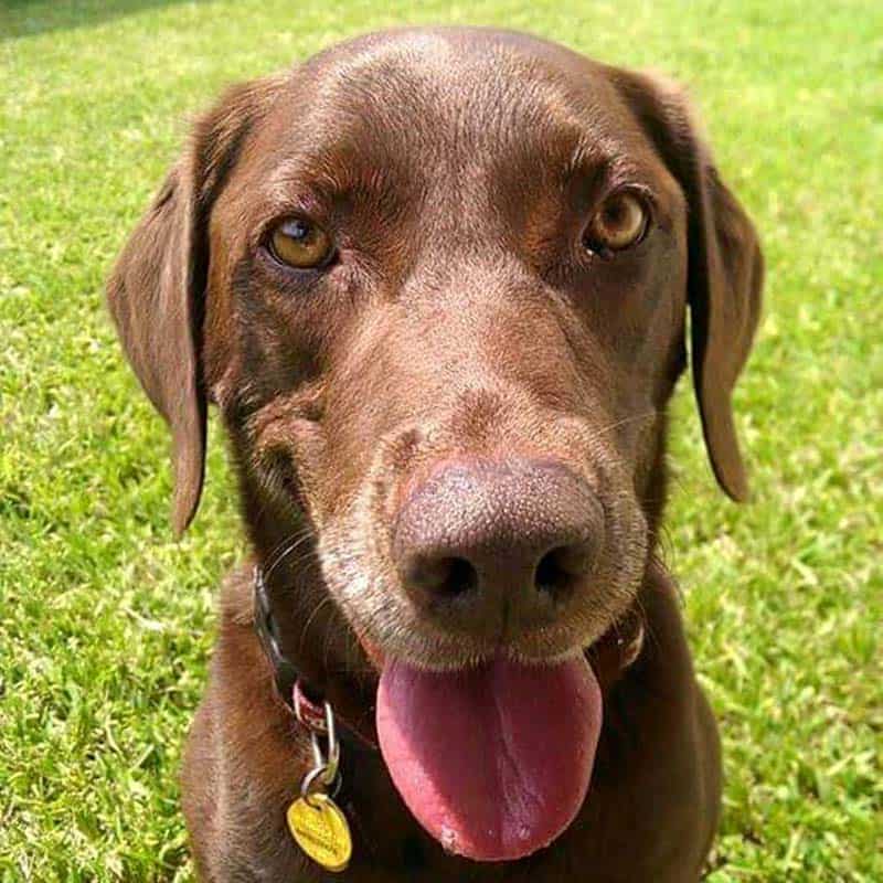 A happy patient